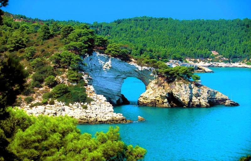 Hotel Borgo Marina 로디가르가니코 외부 사진